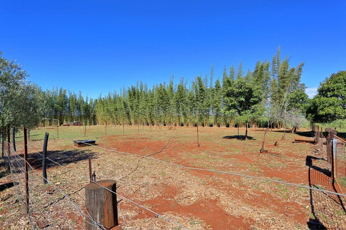 25 Behnkes Road, WOONGARRA QLD 4670, Woongarra - Thumbnail 8