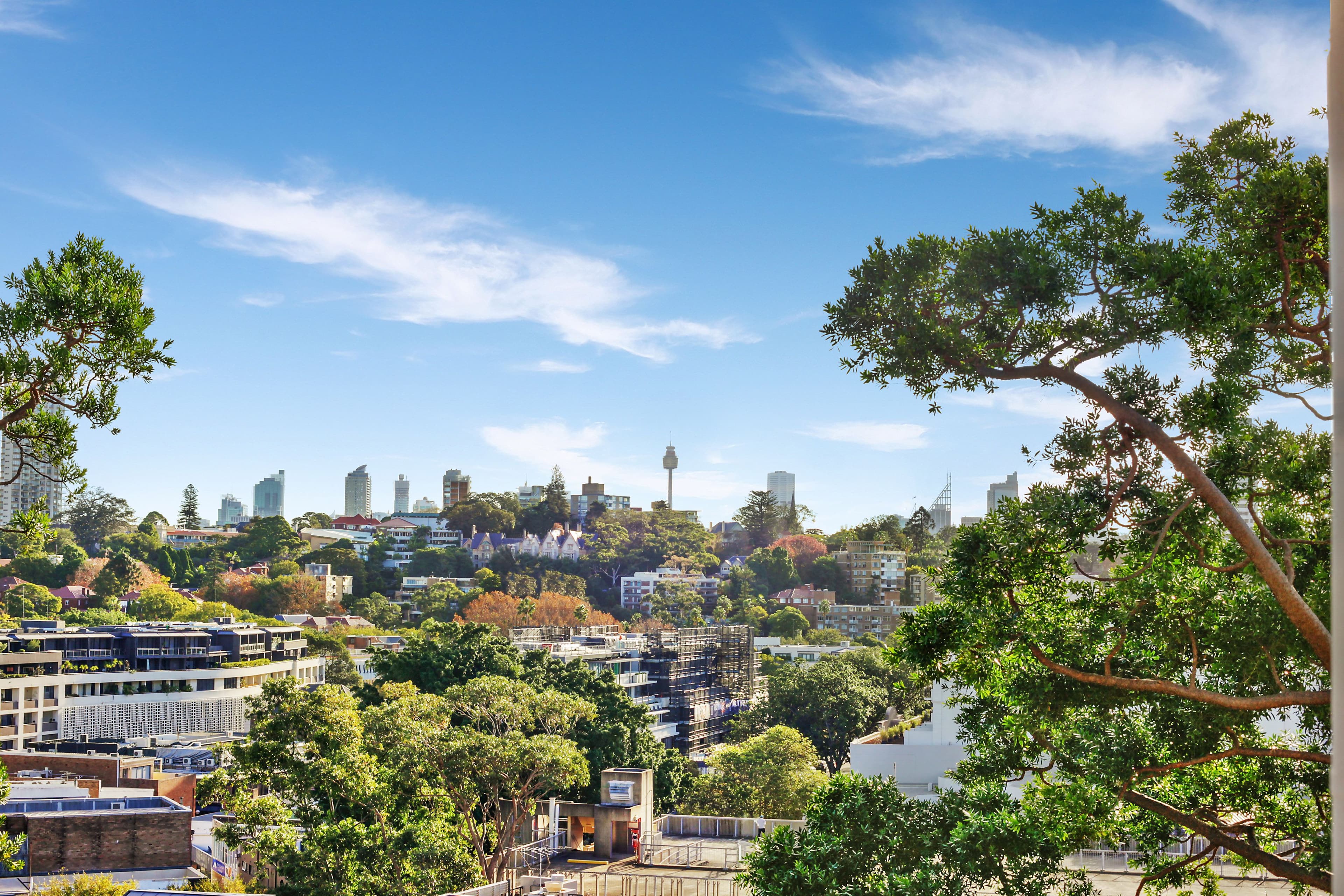 177 Bellevue Road, Bellevue Hill NSW 2023, Bellevue Hill - Thumbnail 6