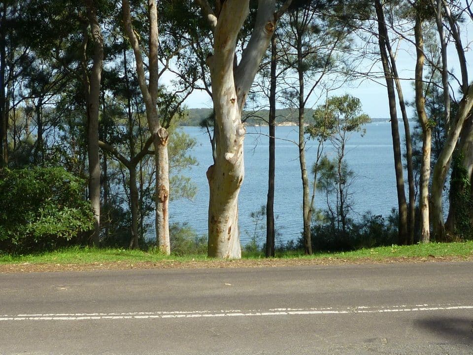 143 Dobell Drive, Wangi Wangi NSW 2267, Wangi Wangi - Thumbnail 2