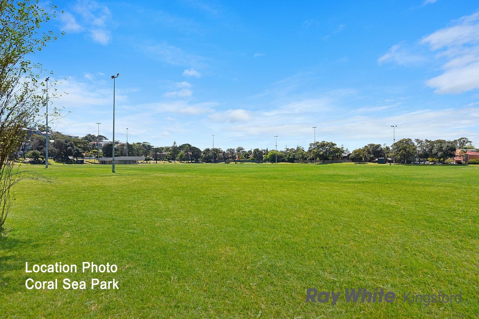 4 Selby Street, Lyndhurst, Lyndhurst - Thumbnail 5