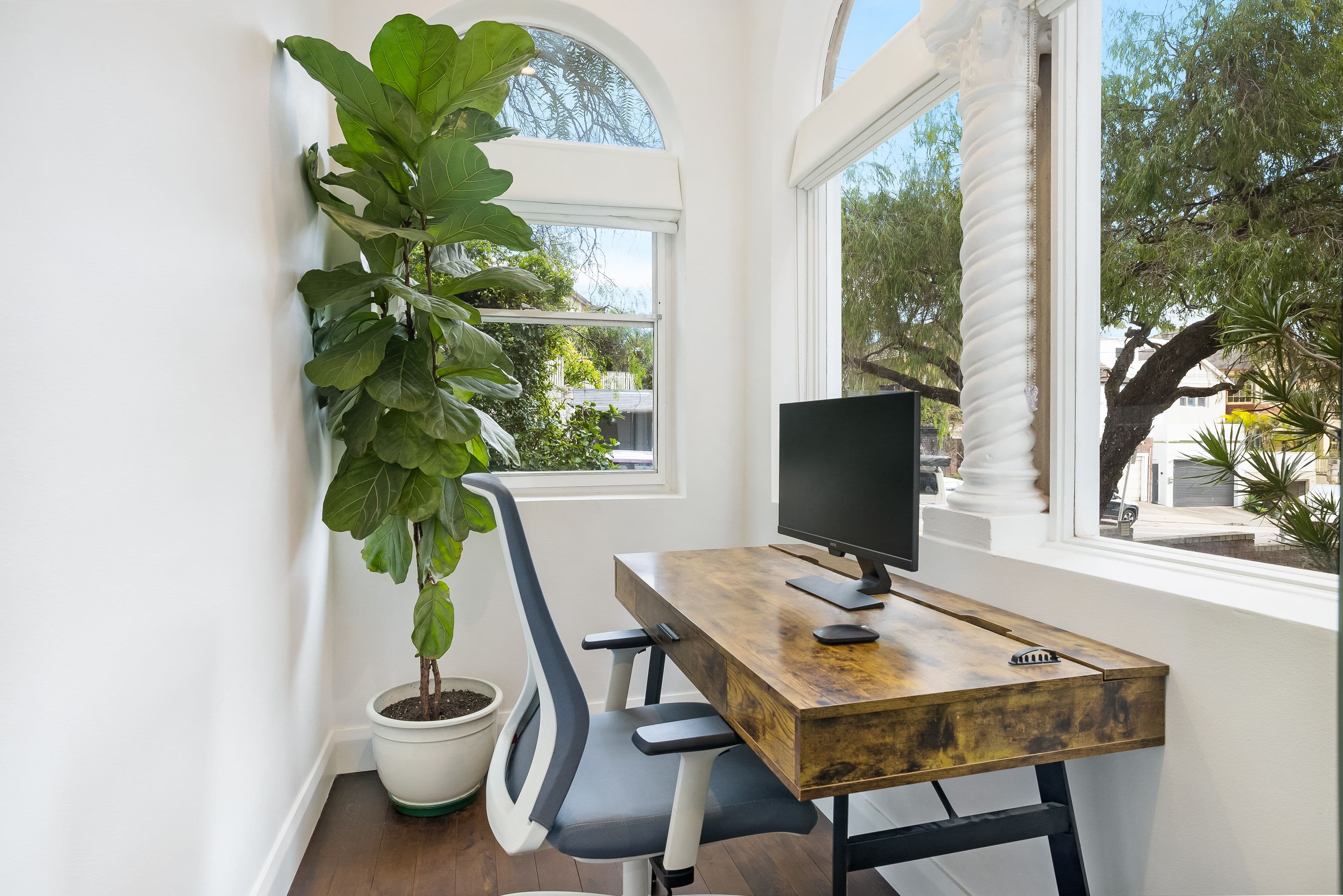 109 Arden Street, Coogee NSW 2034, Coogee - Thumbnail 3