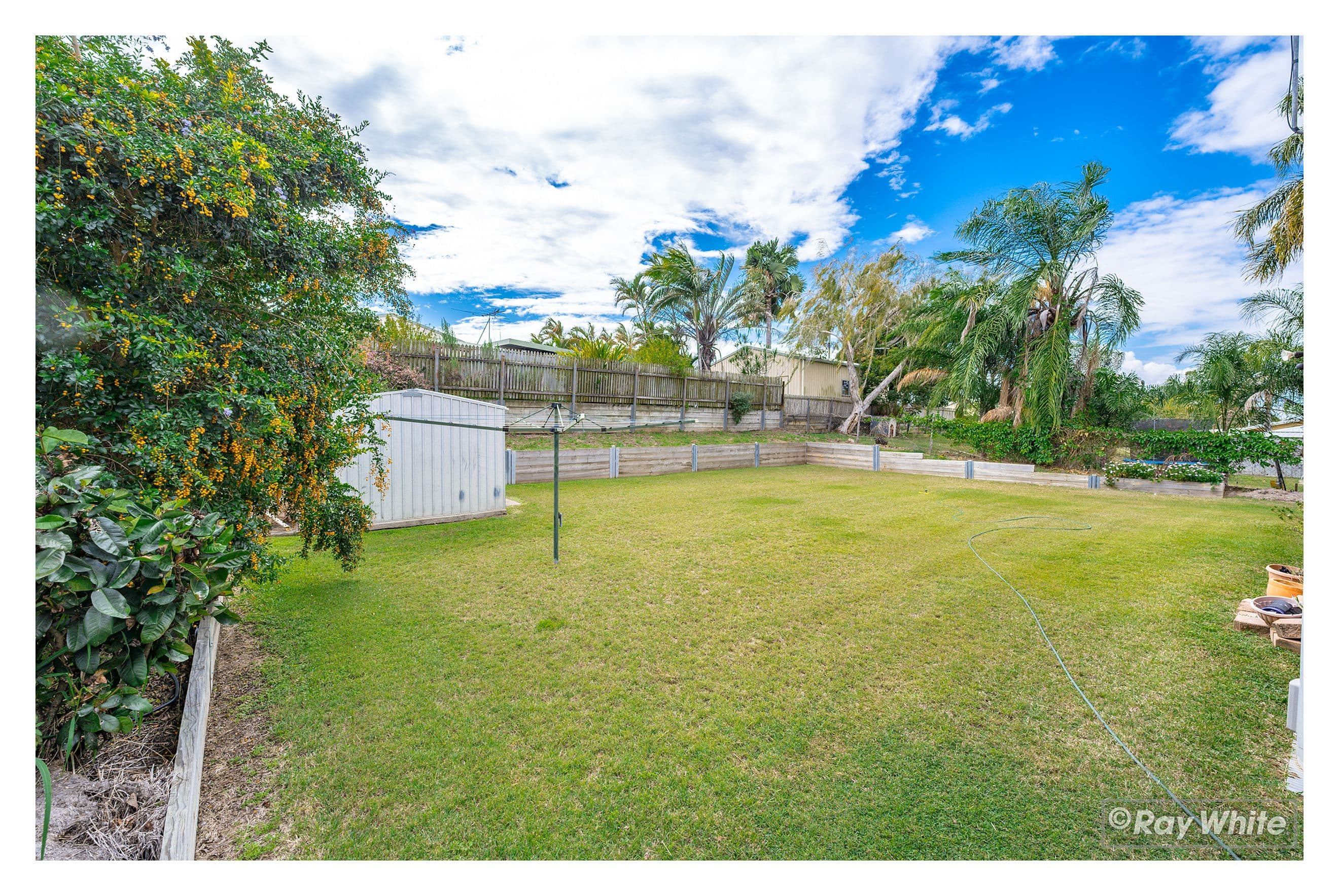 11 Archer Road, Gracemere QLD 4702, Gracemere - Thumbnail 6