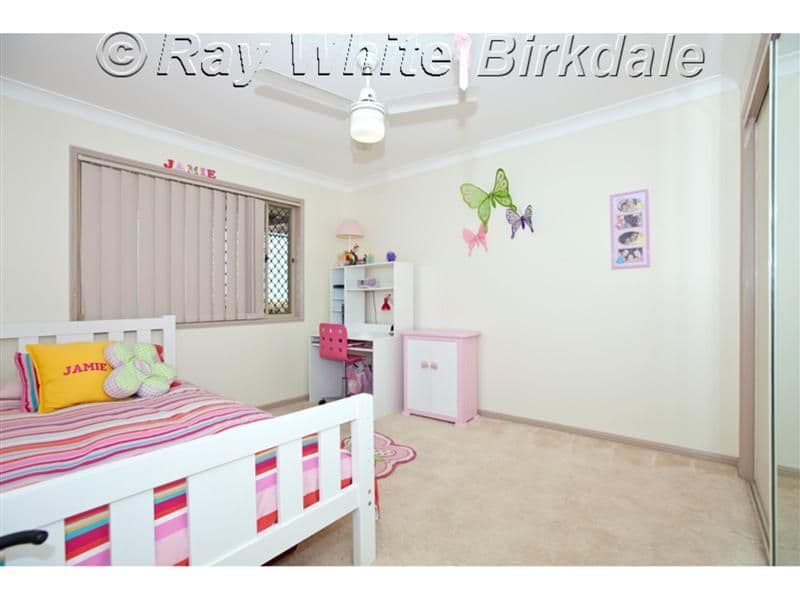 12 Lynch Crescent, Birkdale QLD 4159, Birkdale - Thumbnail 8