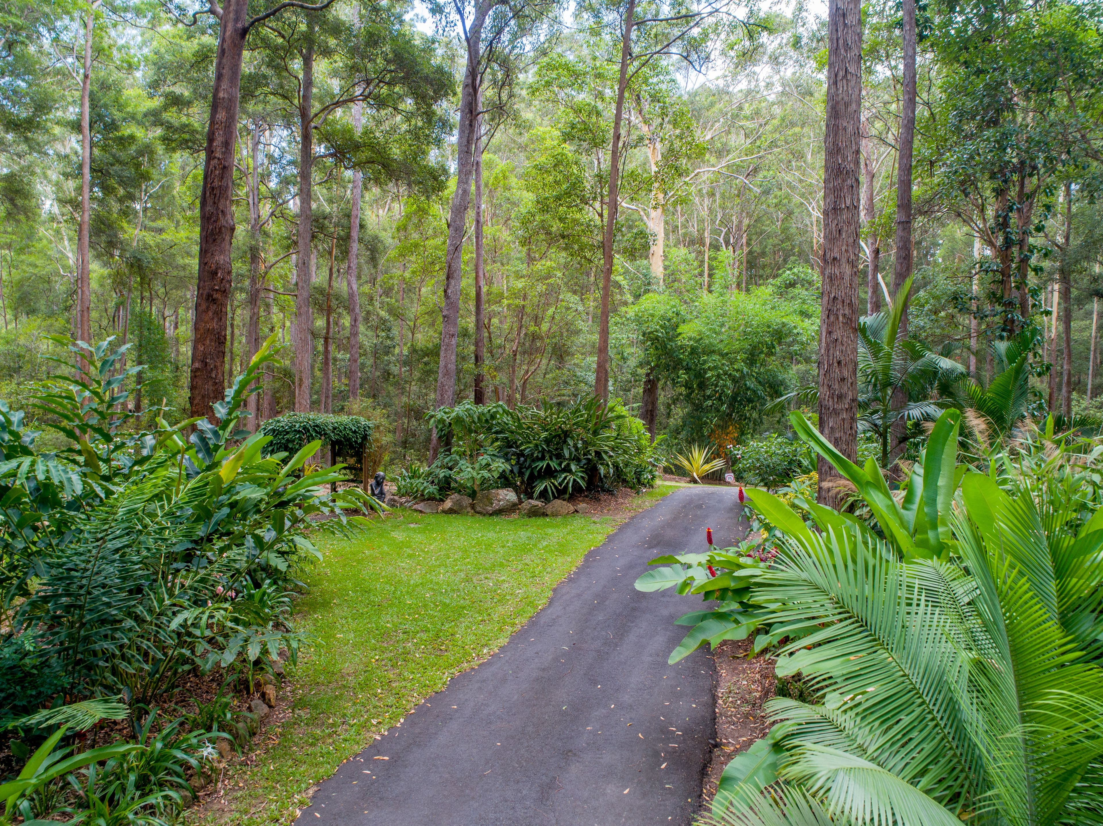 182 Browns Creek Road, Bridges QLD 4561, Bridges - Thumbnail 2