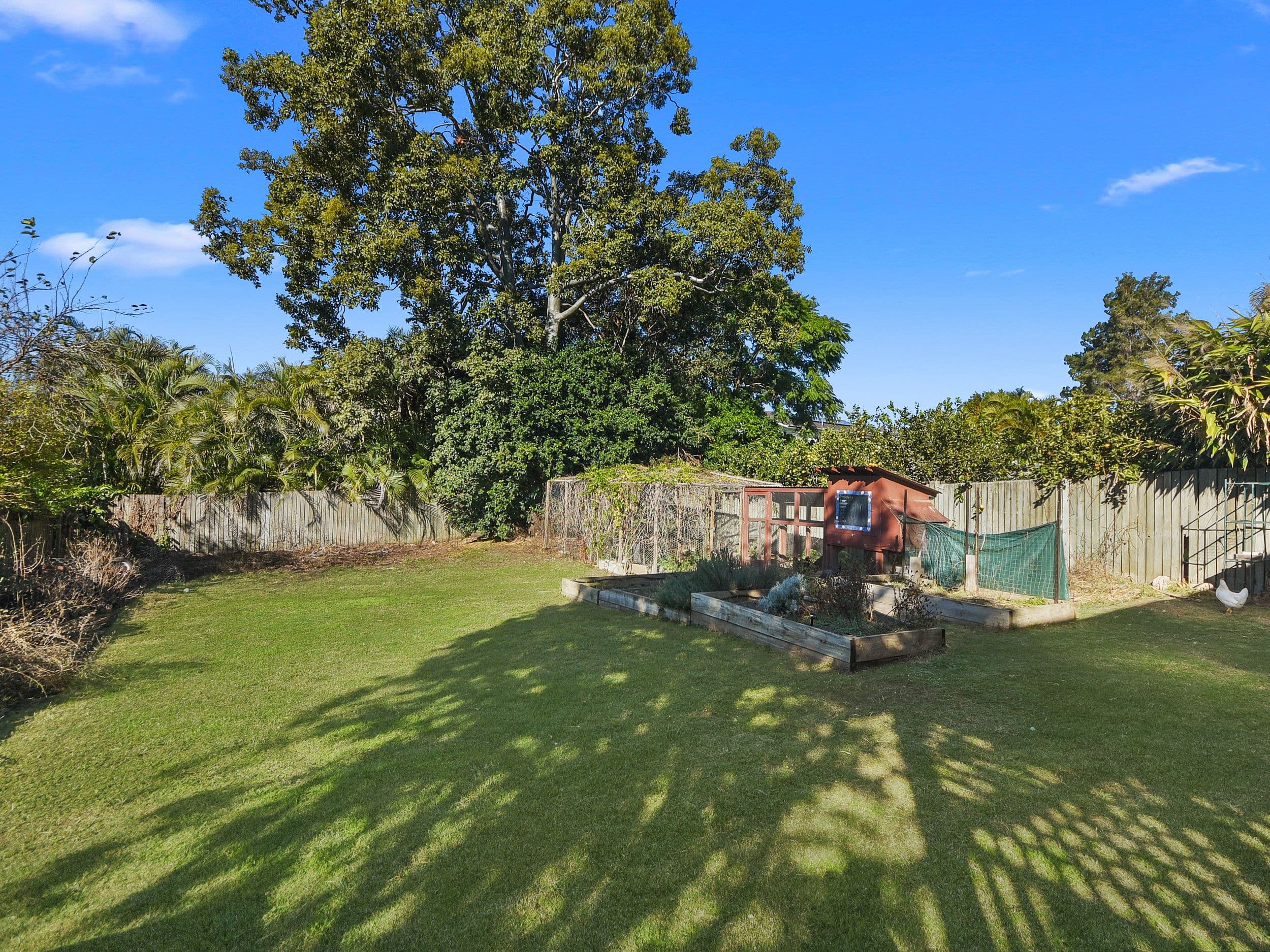 42 McNeill Road, Kallangur QLD 4503, Kallangur - Thumbnail 7