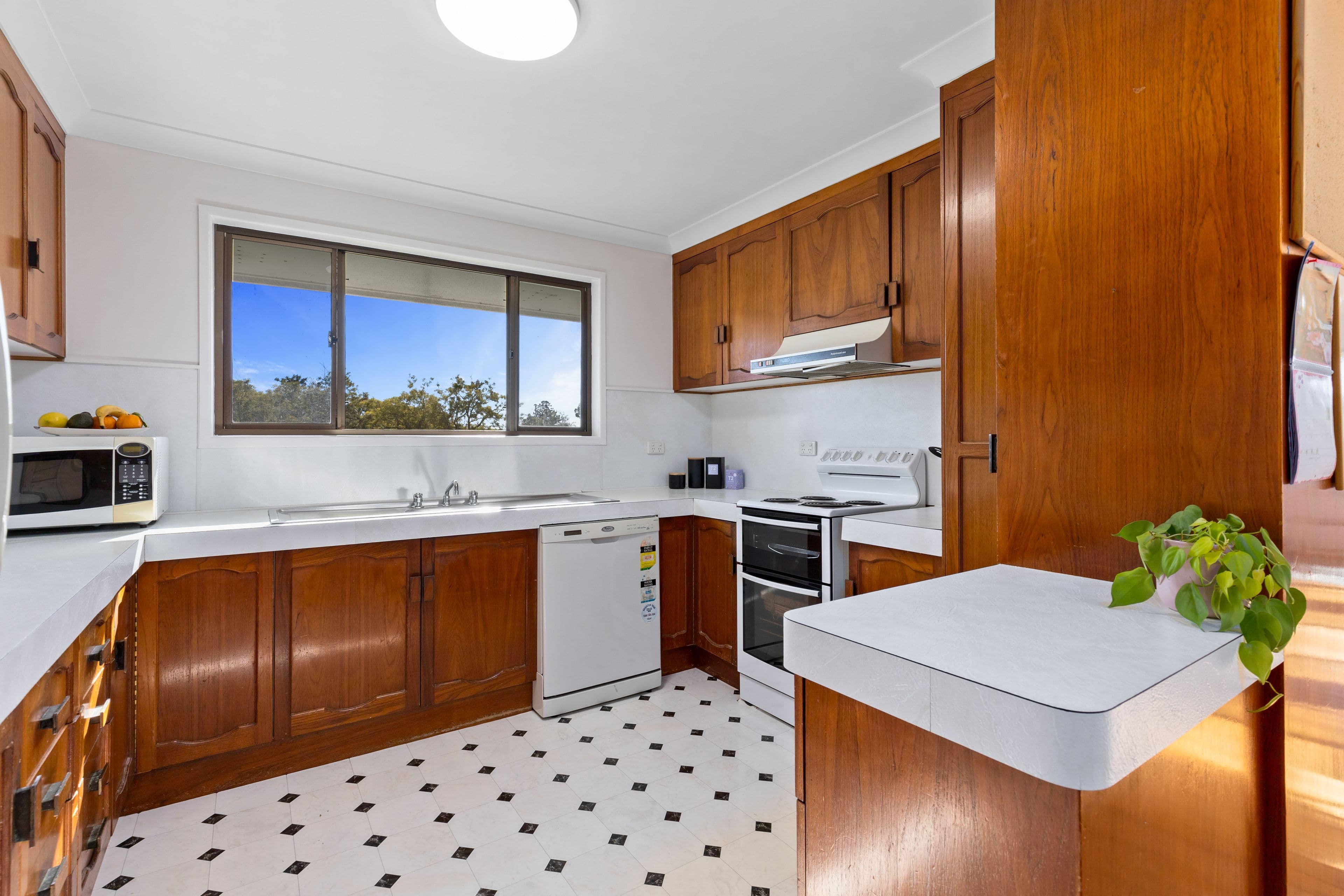 17 Briggs Street, Pittsworth QLD 4356, Pittsworth - Thumbnail 7