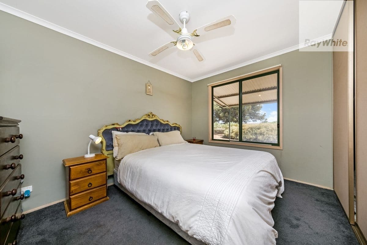 116 Hunters Road, Lower Light SA 5501, Lower Light - Thumbnail 8