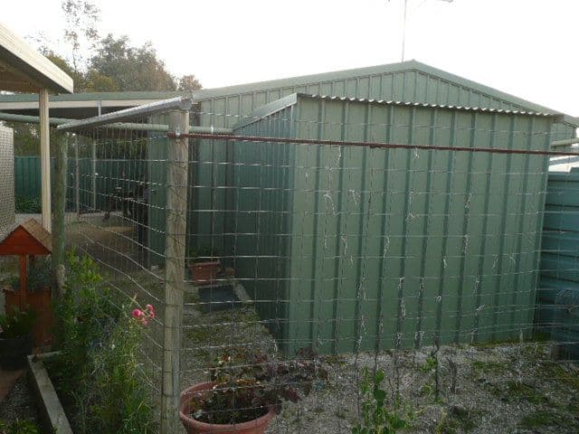 6 Tregenza Street, NURIOOTPA SA 5355, Nuriootpa - Thumbnail 4