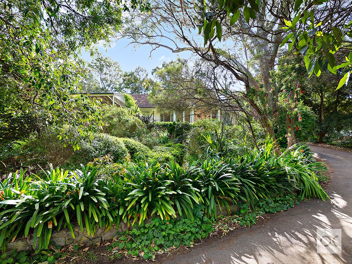 28 Acacia Road, Hawthorndene - Thumbnail 2