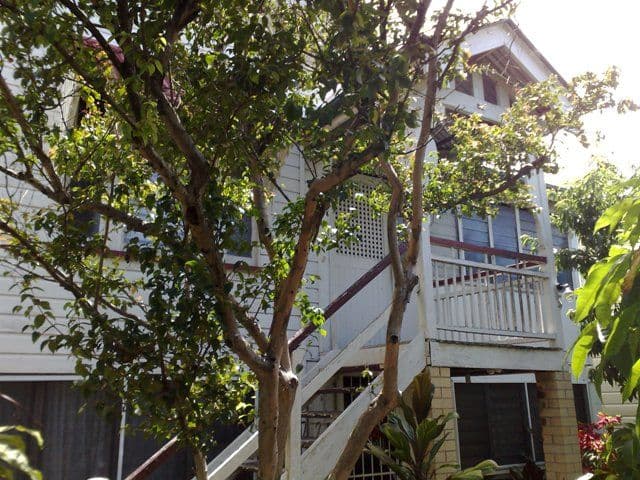 52 Kennigo Street, SPRING HILL QLD 4000, Spring Hill - Thumbnail 3