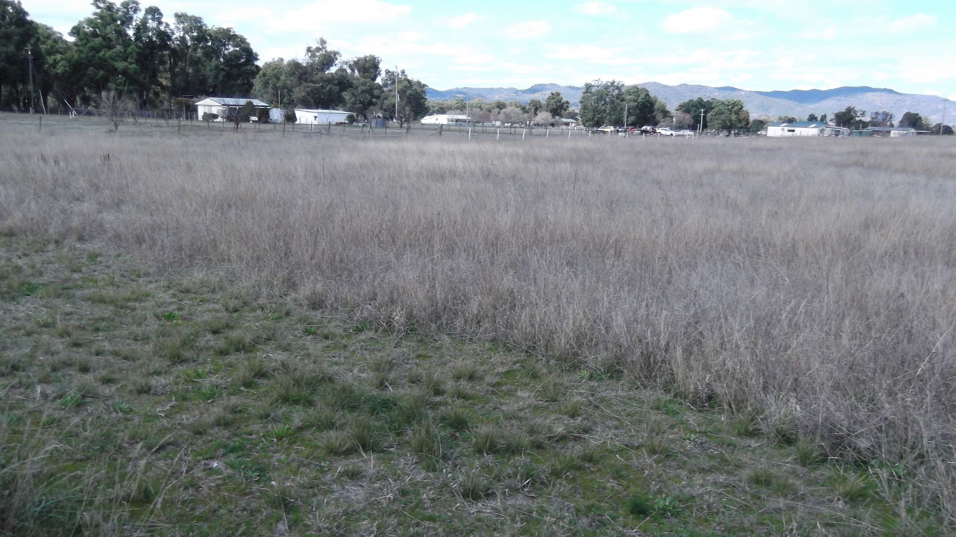 24 William Street, MOONBI NSW 2353, Moonbi - Thumbnail 2