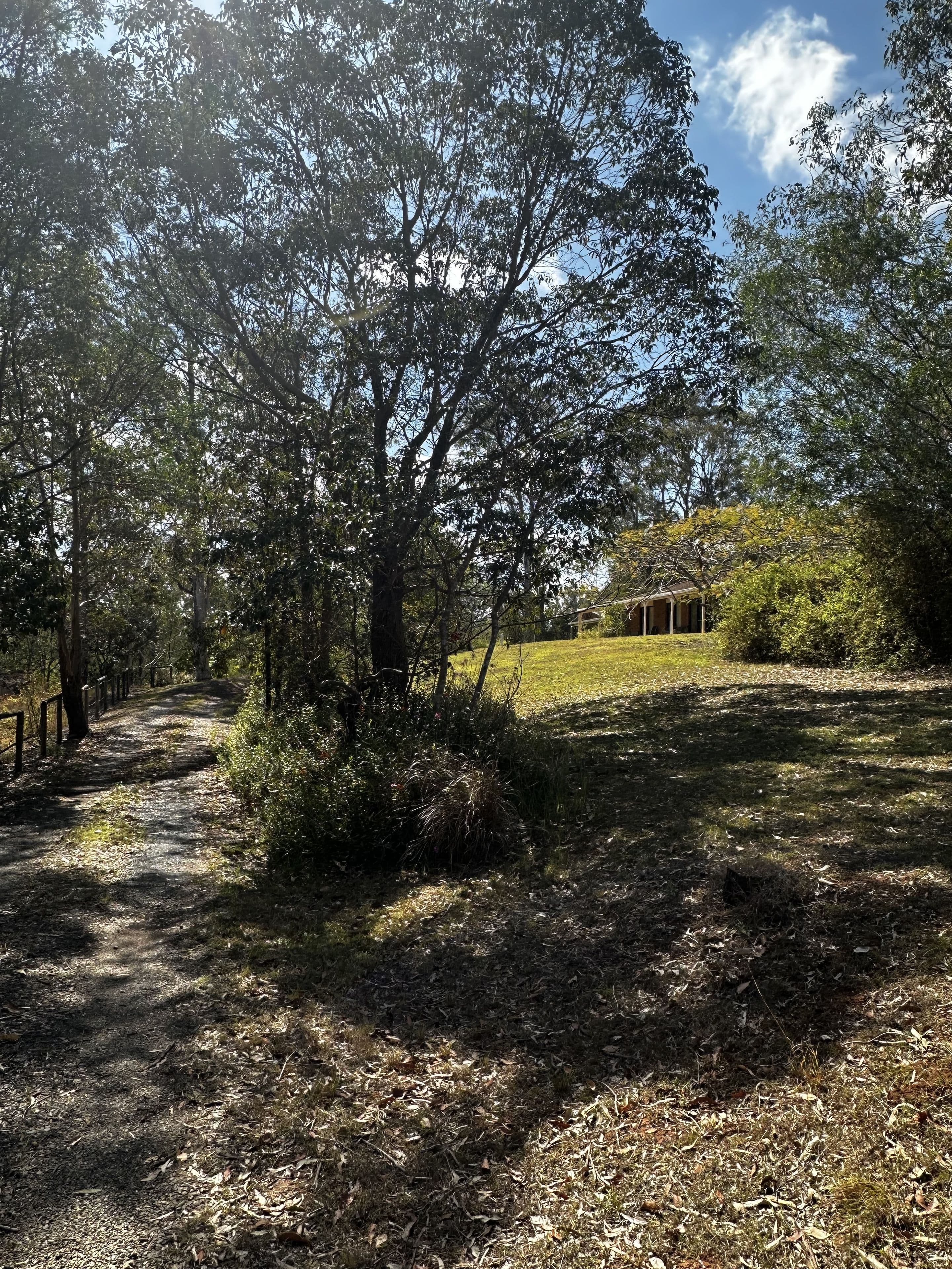 159 Rosemount Drive, Willow Vale QLD 4209, Willow Vale - Thumbnail 3