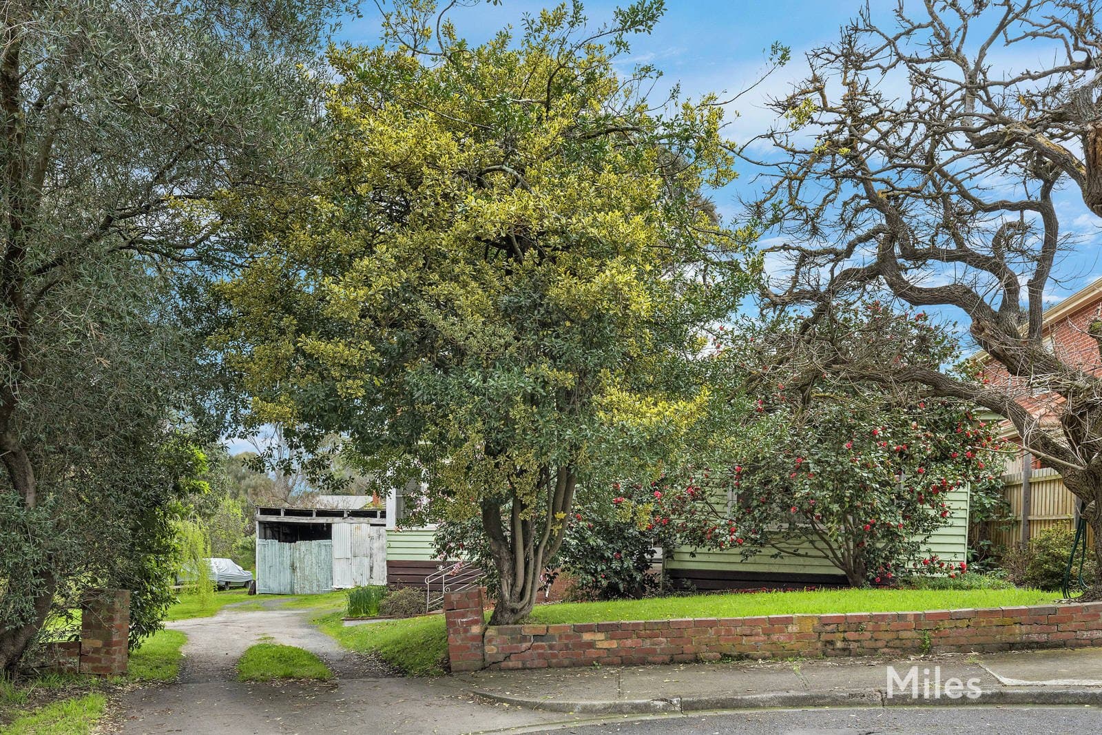 1-3 McDonald Avenue, Ivanhoe, Ivanhoe - Thumbnail 4