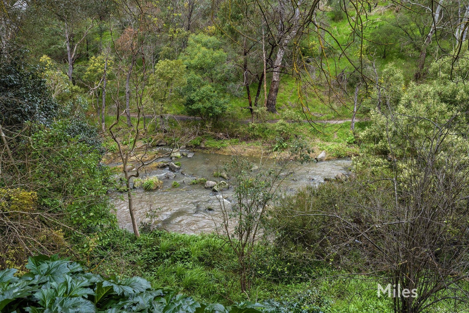 1-3 McDonald Avenue, Ivanhoe, Ivanhoe - Thumbnail 8
