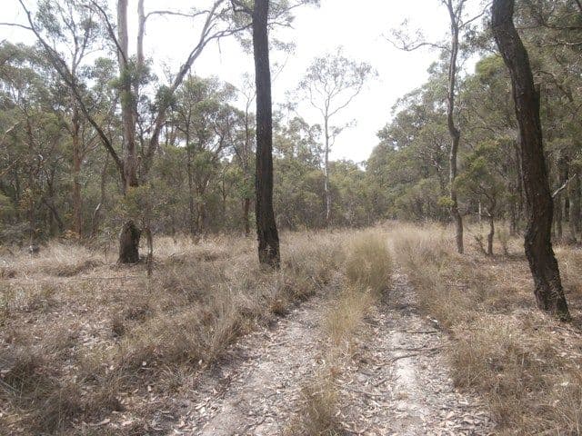 104 Rickards Road, AGNES BANKS NSW 2753, Agnes Banks - Thumbnail 2