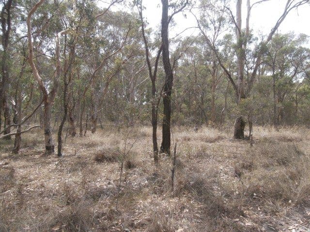 104 Rickards Road, AGNES BANKS NSW 2753, Agnes Banks - Thumbnail 3