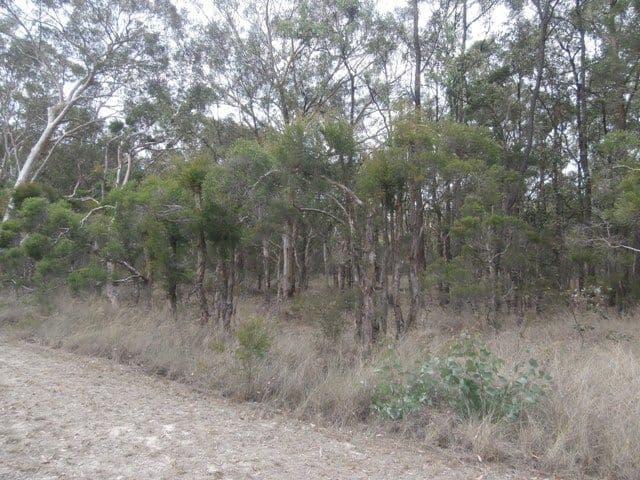 104 Rickards Road, AGNES BANKS NSW 2753, Agnes Banks - Thumbnail 4
