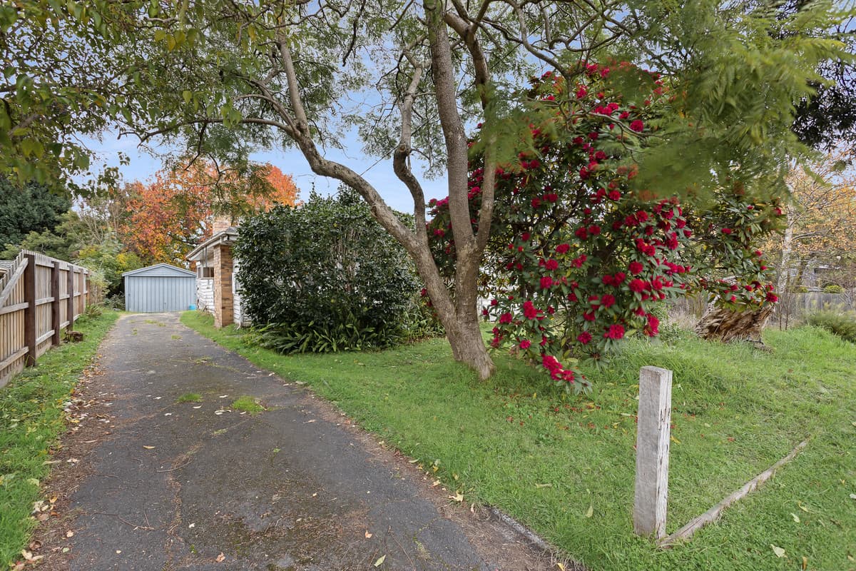 18 Marlborough Road, Bayswater VIC 3153, Bayswater - Thumbnail 5