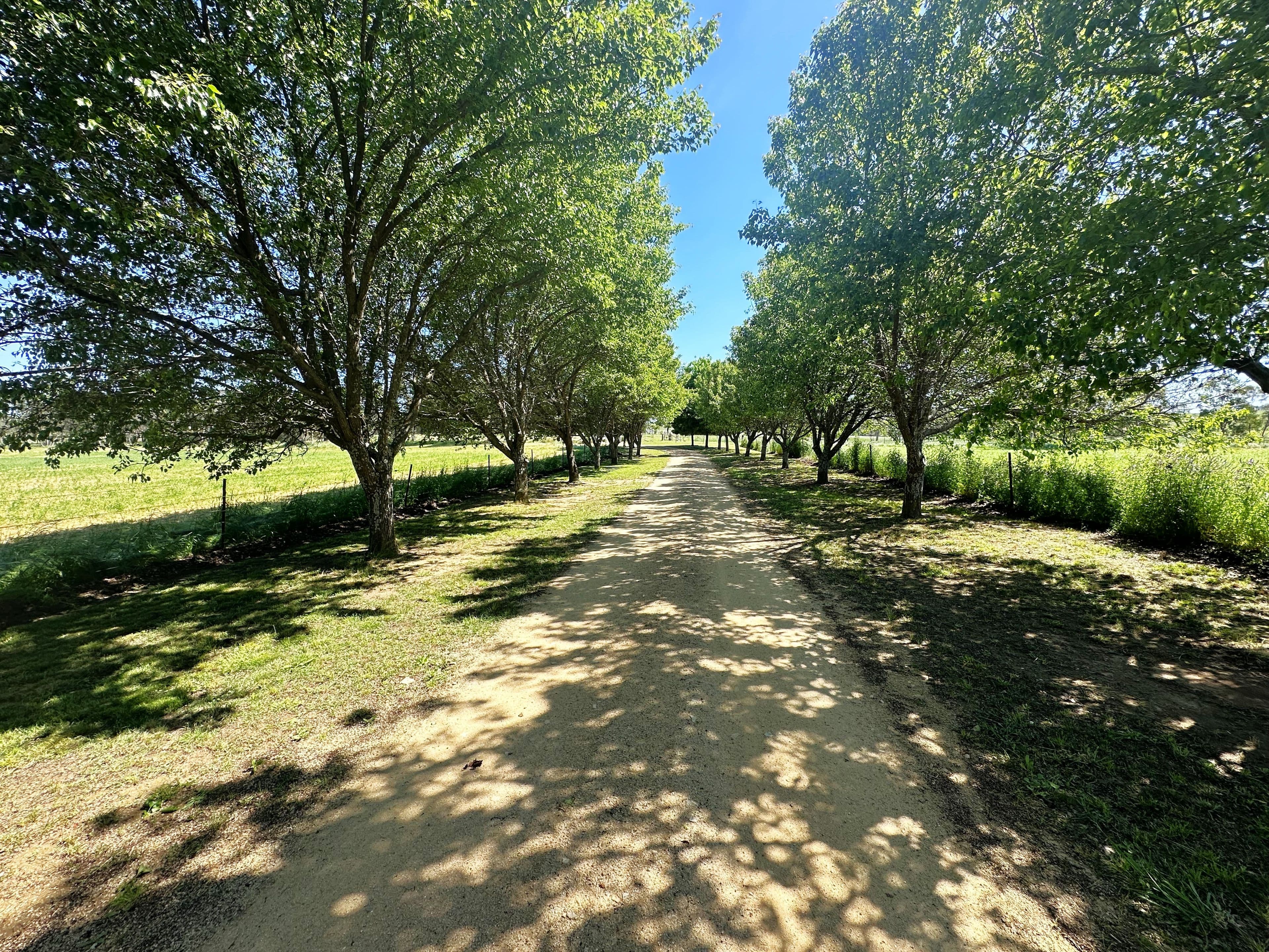 28 Levetts Road, Young NSW 2594, Young - Thumbnail 2