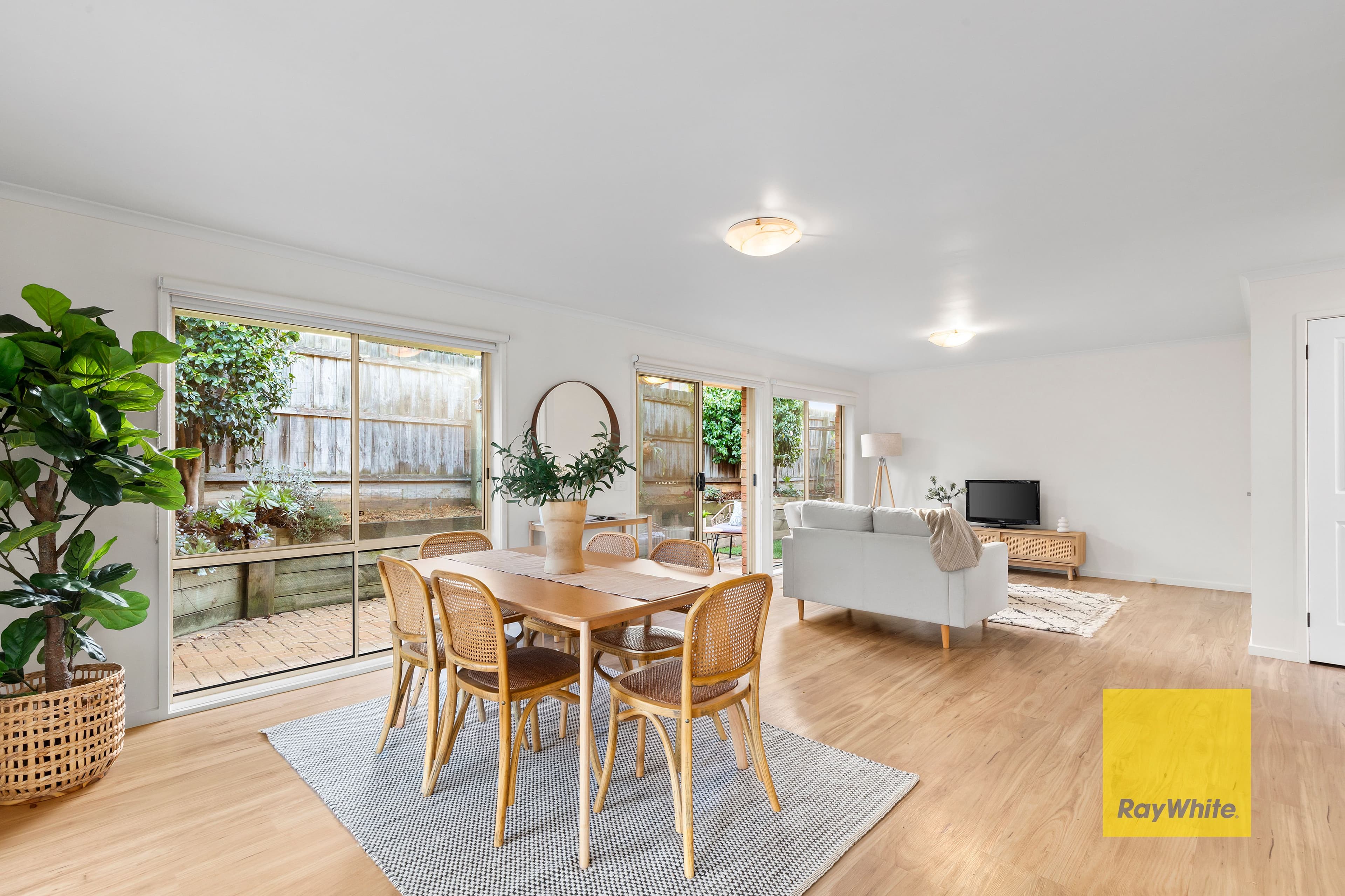 10 Nireeda Court, Wandana Heights VIC 3216, Wandana Heights - Thumbnail 4