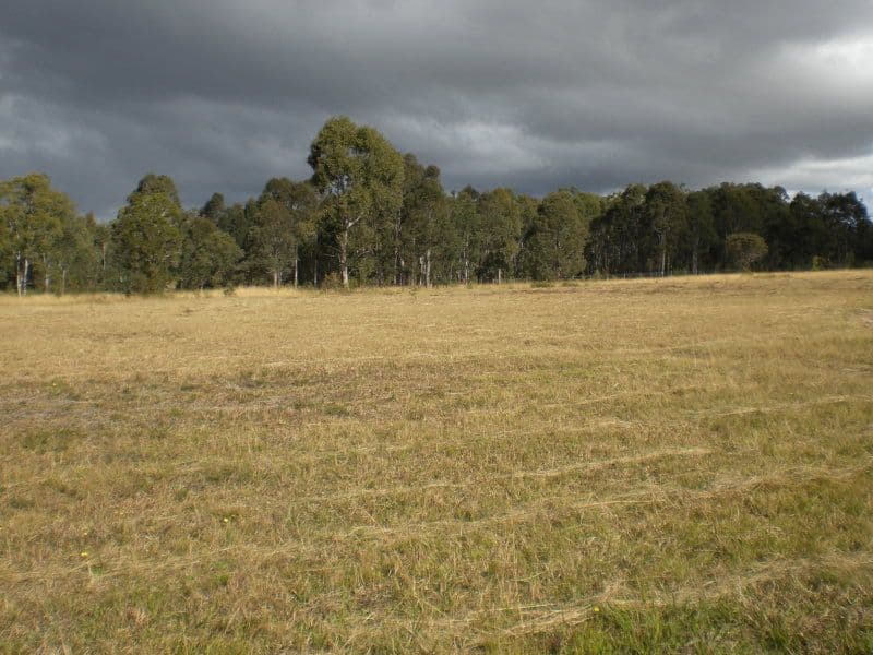Lot 135 Nutans Crest, WORRIGEE NSW 2540, Worrigee - Image 1