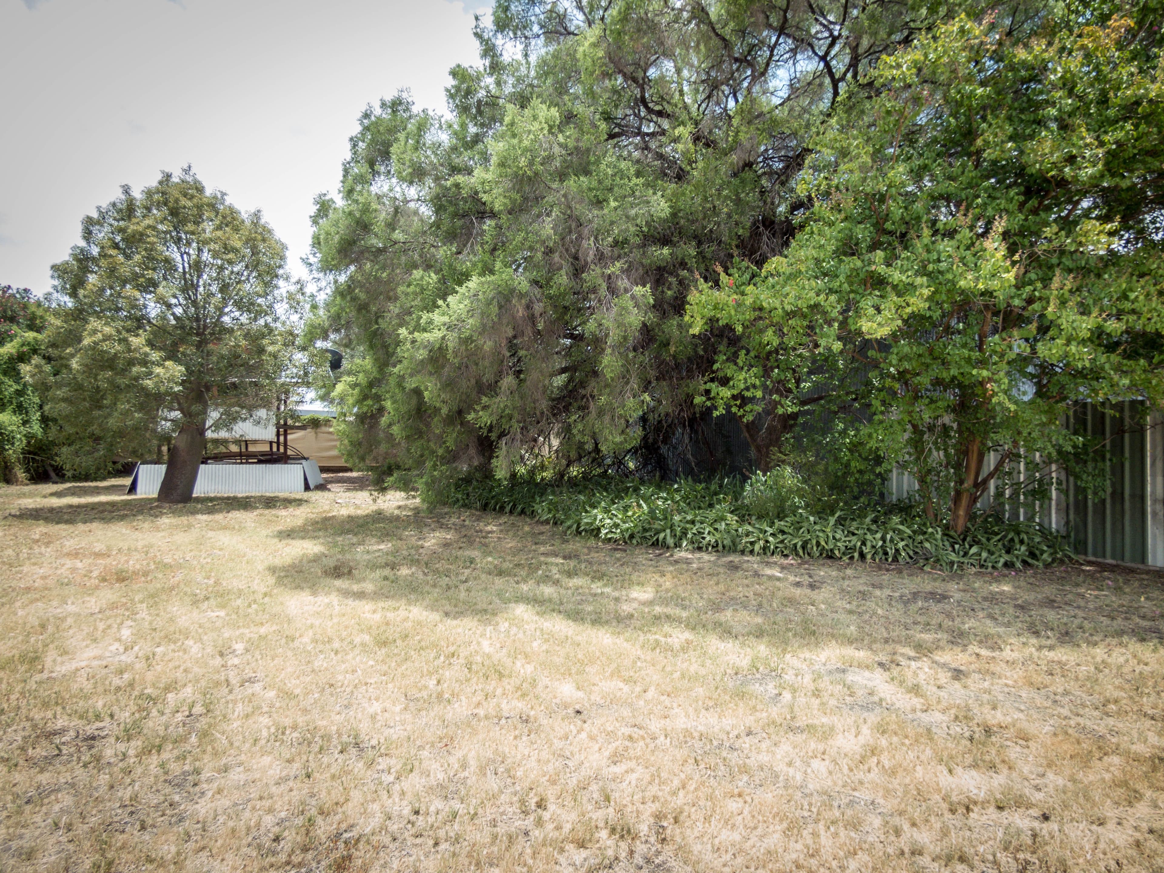 49 Station Street, Roma QLD 4455, Roma - Thumbnail 2