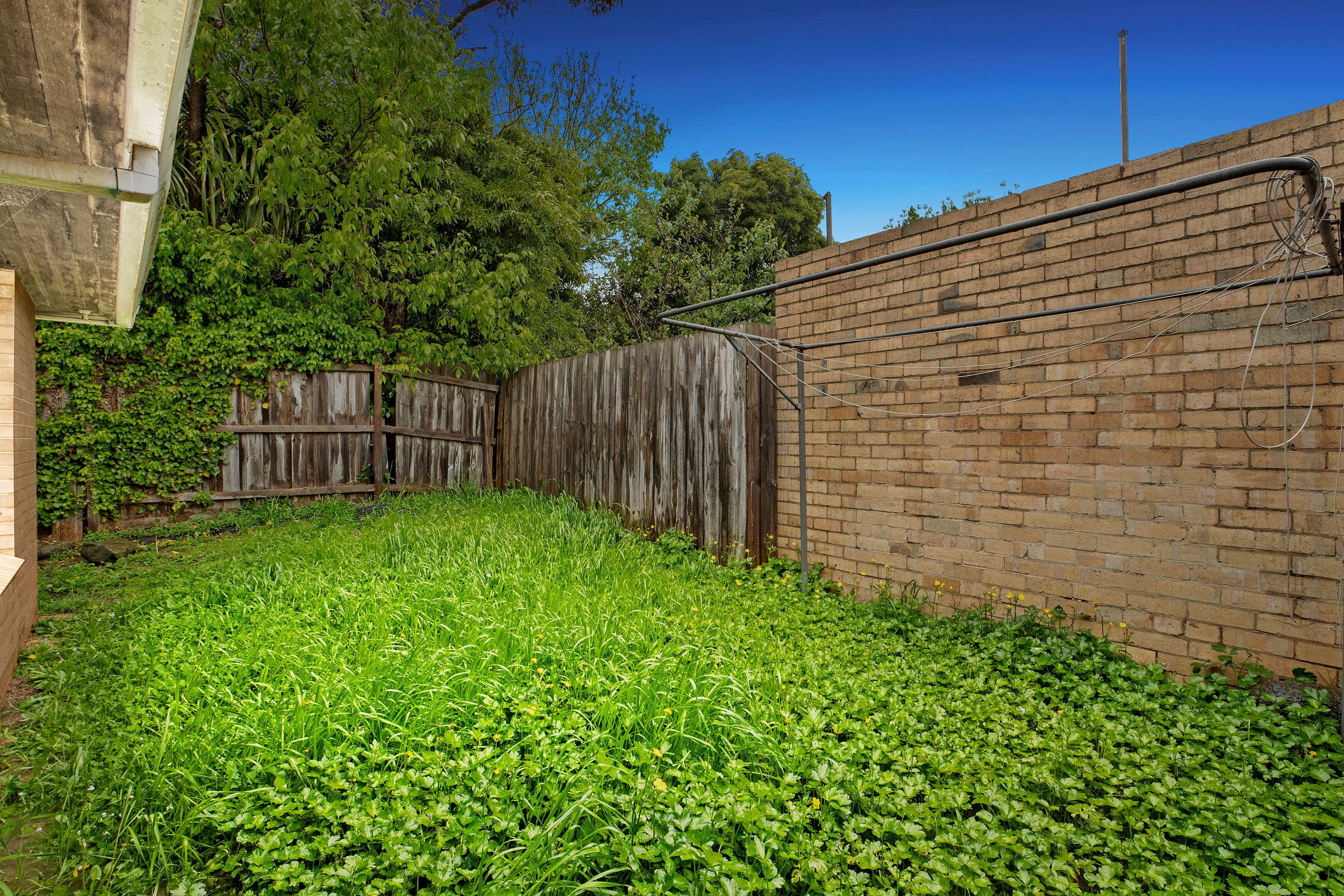 1 Mary Street, Ringwood VIC 3134, Ringwood - Thumbnail 2