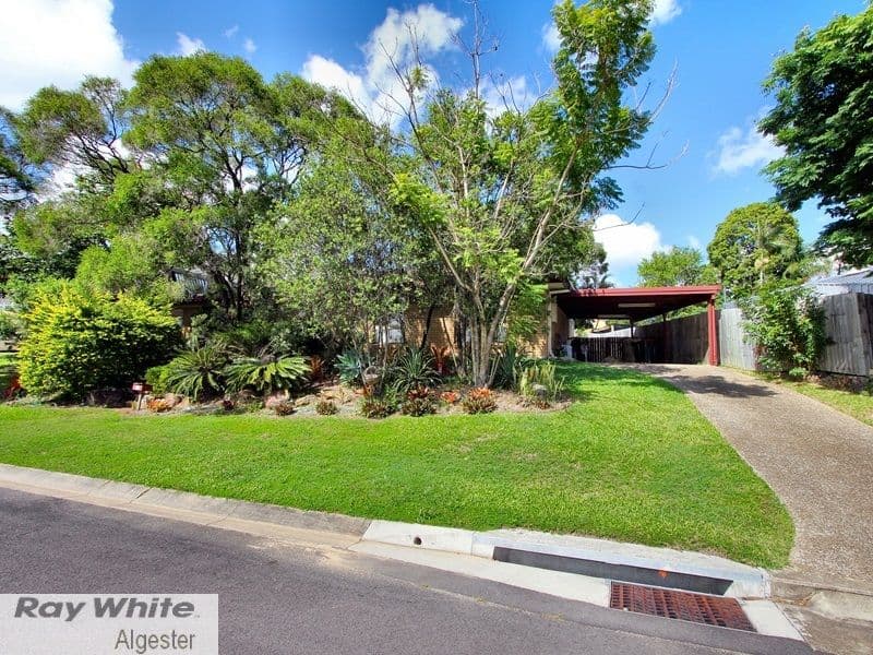 34 Lancewood Street, ALGESTER QLD 4115, Algester - Thumbnail 3
