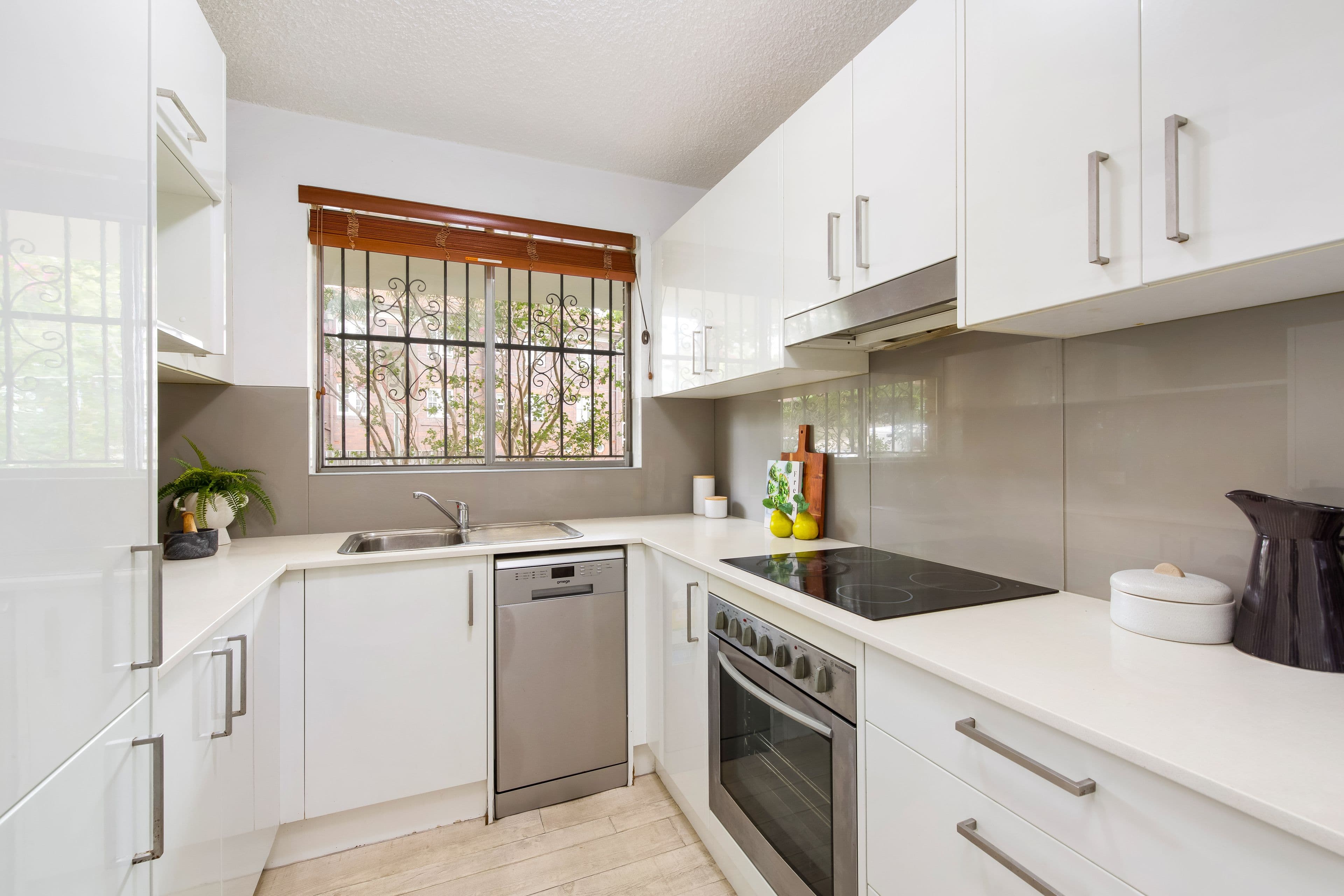 17 William Street, Randwick NSW 2031, Randwick - Thumbnail 4