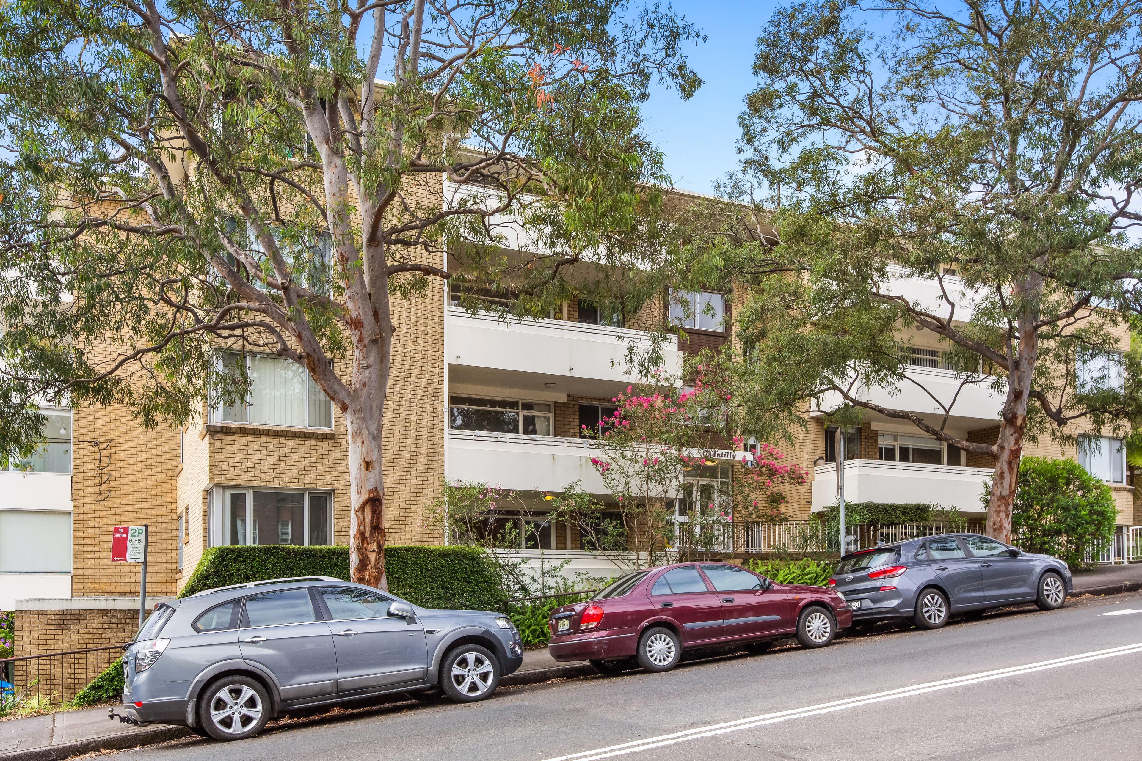 17 William Street, Randwick NSW 2031, Randwick - Thumbnail 8