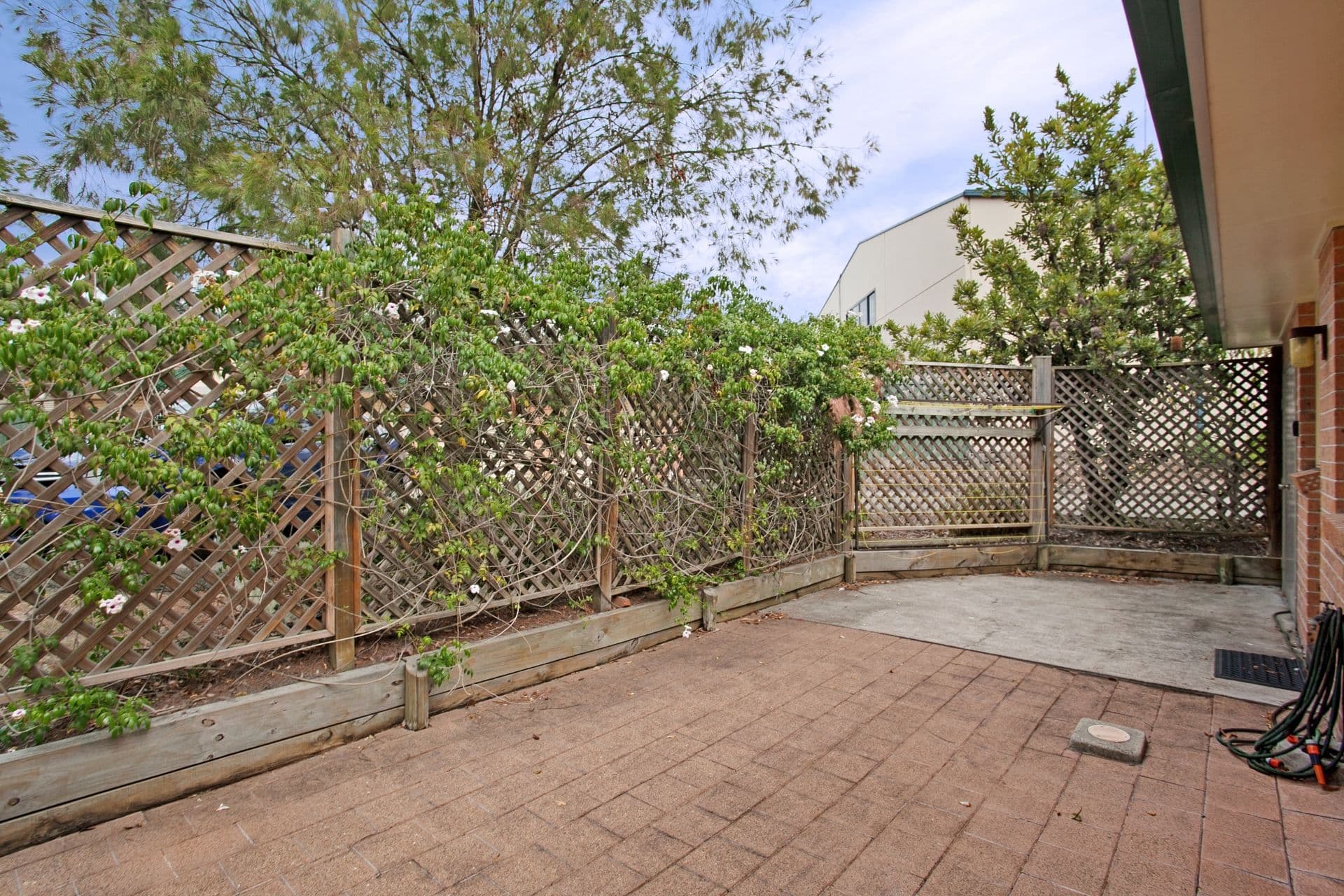 87 Chelmsford Drive, Metford - Thumbnail 5