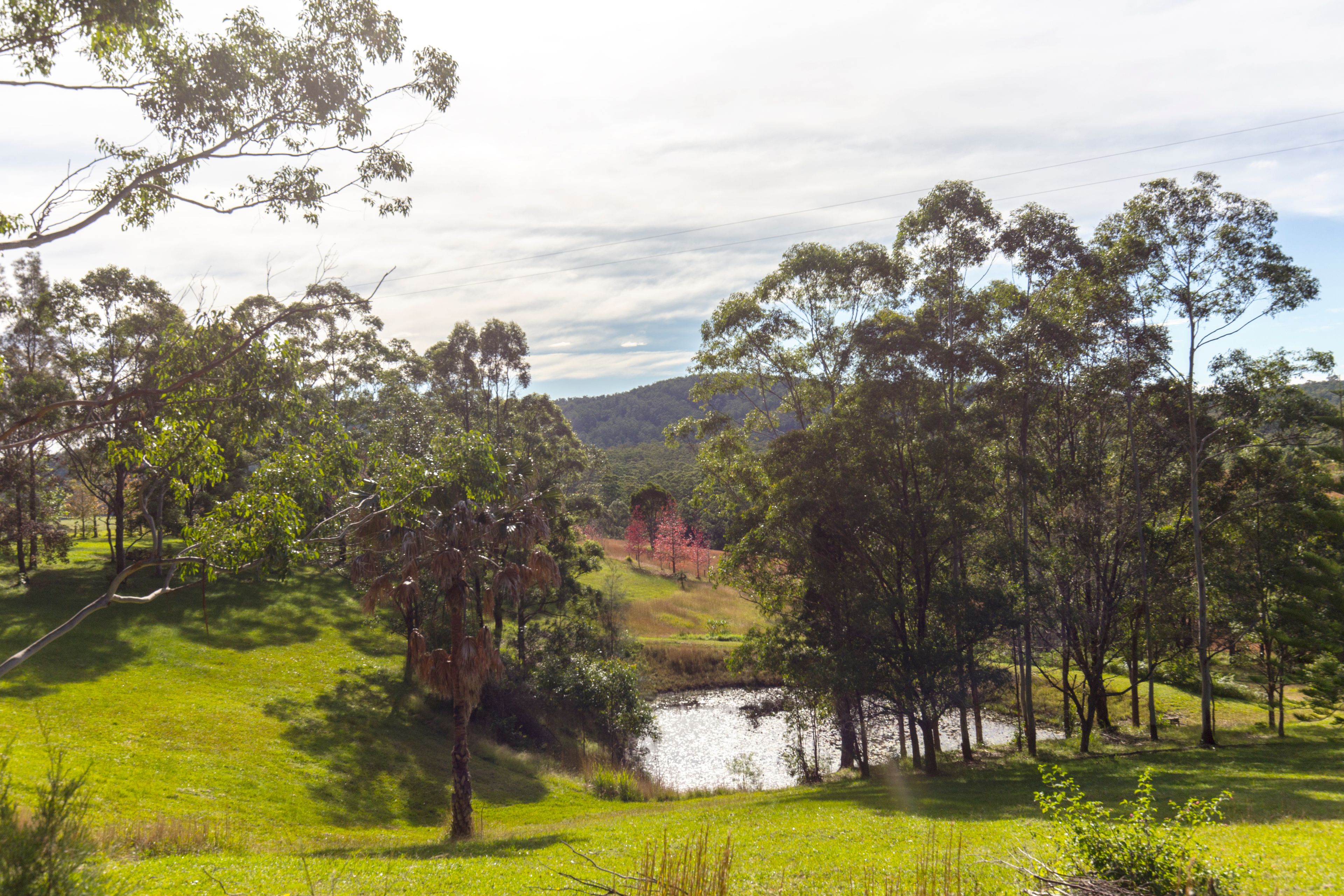 137 Wattley Hill Road, Wootton NSW 2423, Wootton - Thumbnail 2