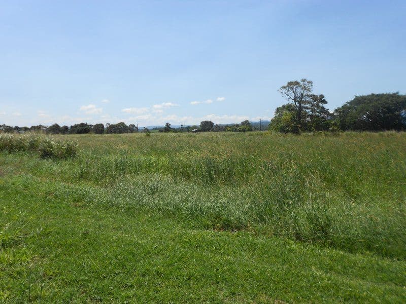 Lot 1 SHAW Road, O'Briens Hill QLD 4860, O'Briens Hill - Thumbnail 3