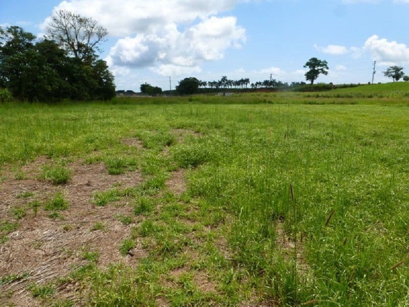 Lot 1 SHAW Road, O'Briens Hill QLD 4860, O'Briens Hill - Thumbnail 4
