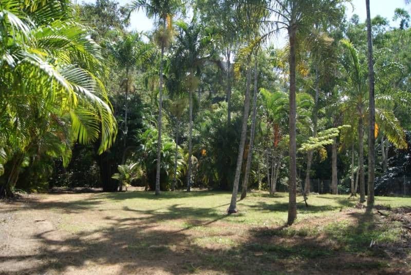 105 James Cook Drive, Kewarra Beach QLD 4879, Kewarra Beach - Thumbnail 6