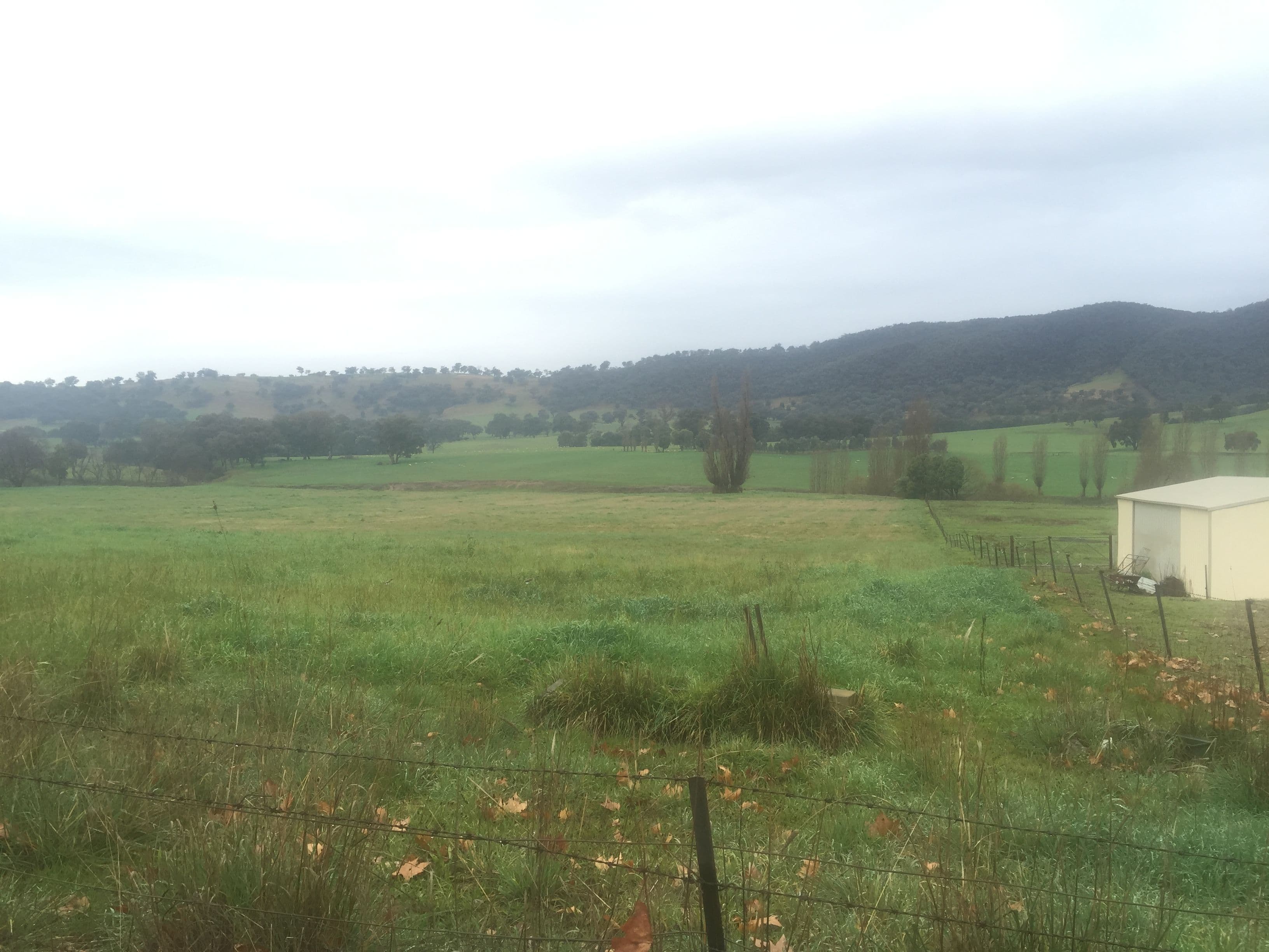 Lot 76 Selwyn Street, Adelong NSW 2729, Adelong - Image 1