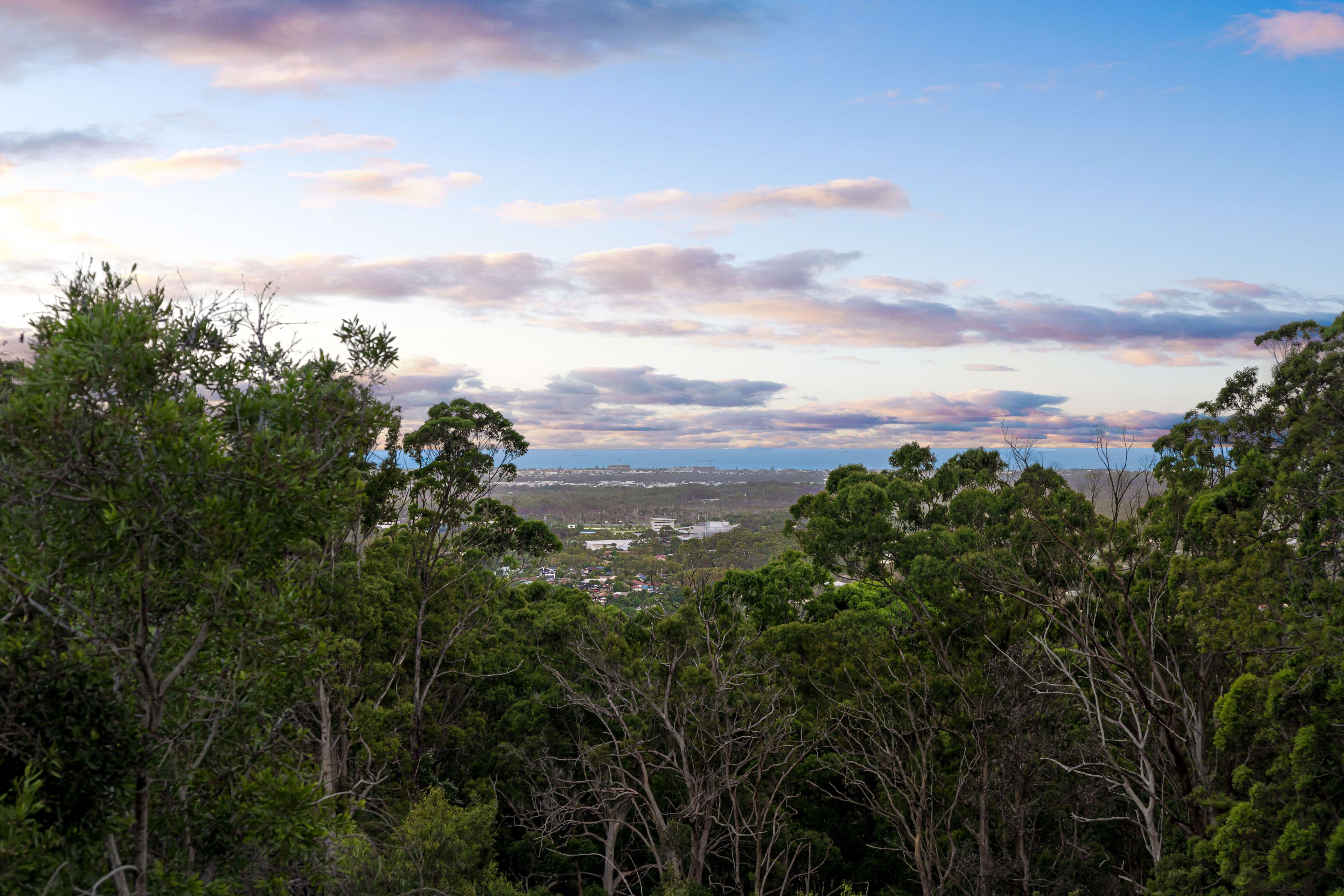 432 Wilson Road, Tanawha QLD 4556, Tanawha - Thumbnail 5
