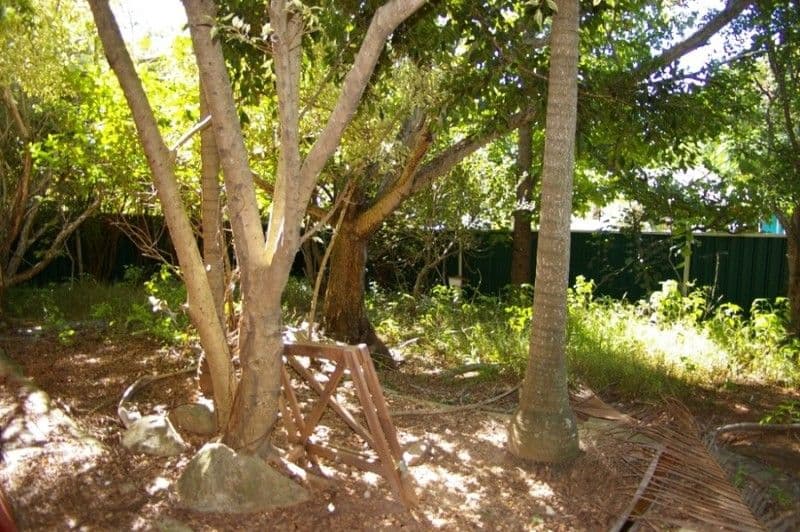 16 Ealing Street, NERANG QLD 4211, Nerang - Thumbnail 4