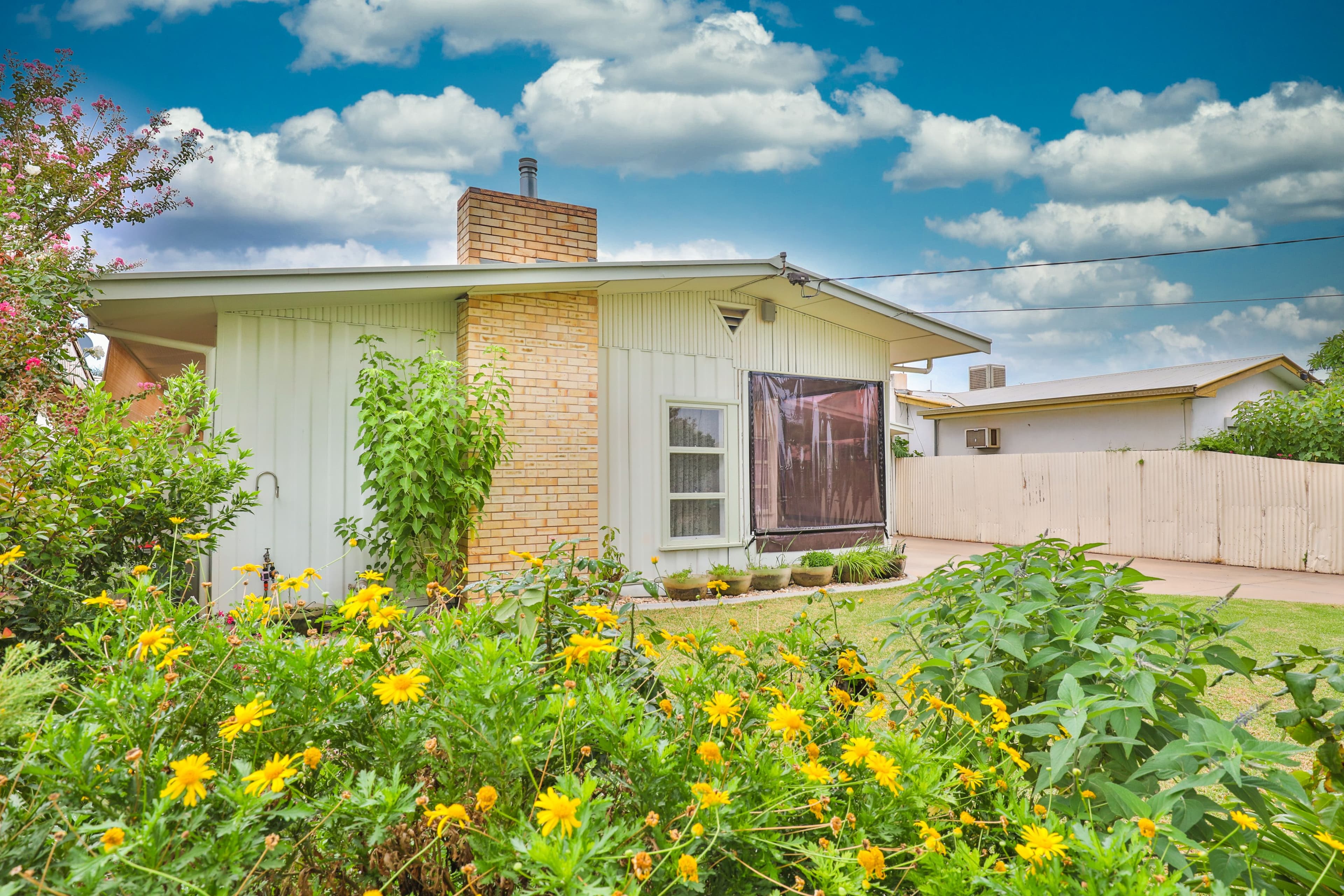 53 Avocado Street, Mildura VIC 3500, Mildura - Image 1