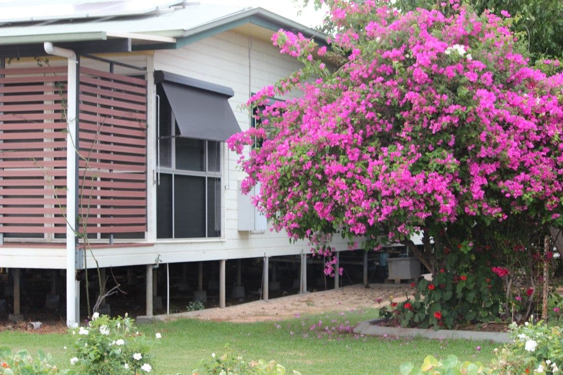 102 Currey Street, Roma QLD 4455, Roma - Thumbnail 2