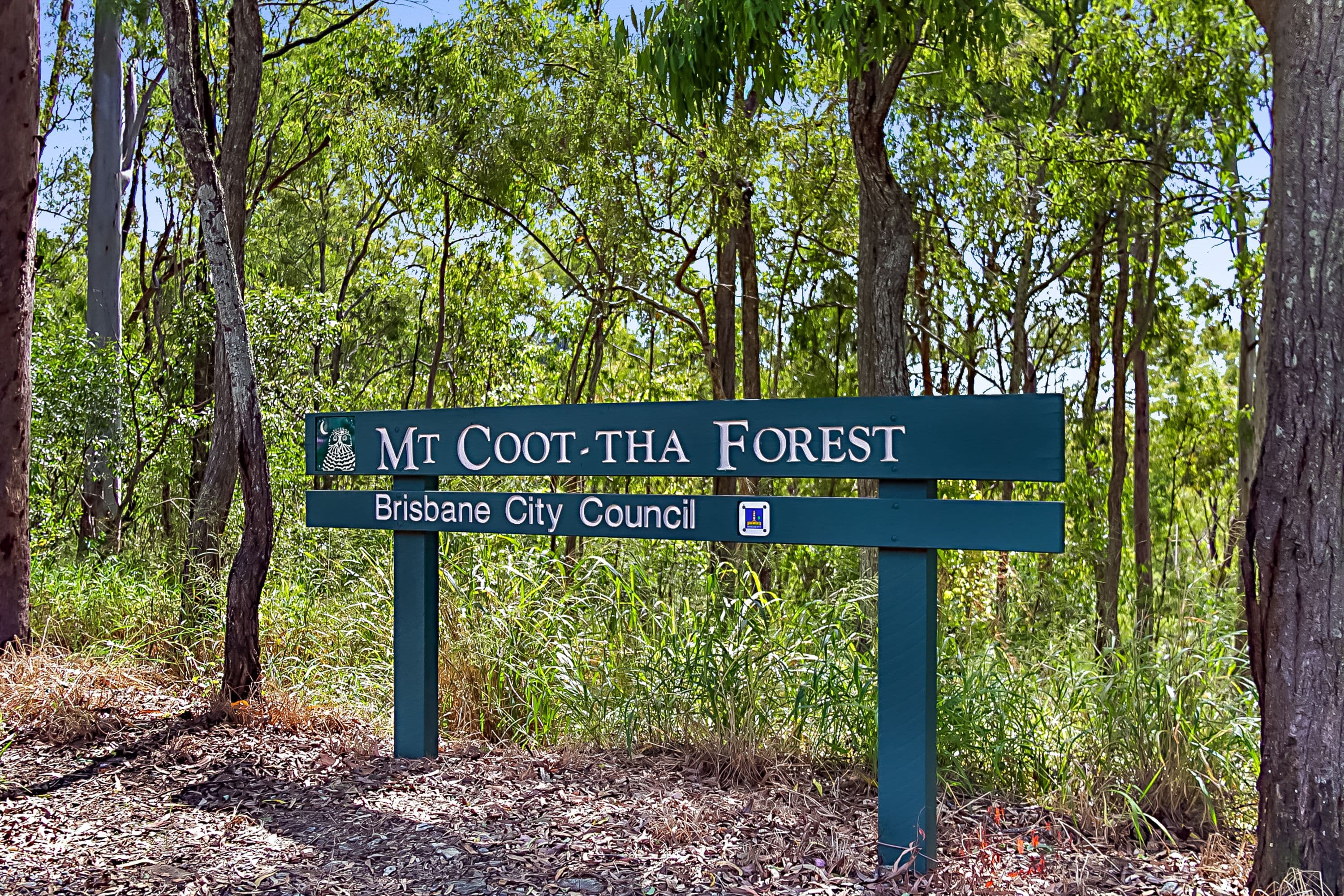 97 Burbong Street, Chapel Hill QLD 4069, Chapel Hill - Thumbnail 3