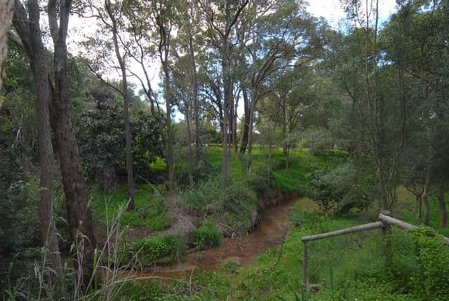 7 Lilian Road, MAIDA VALE WA 6057, Maida Vale - Thumbnail 4