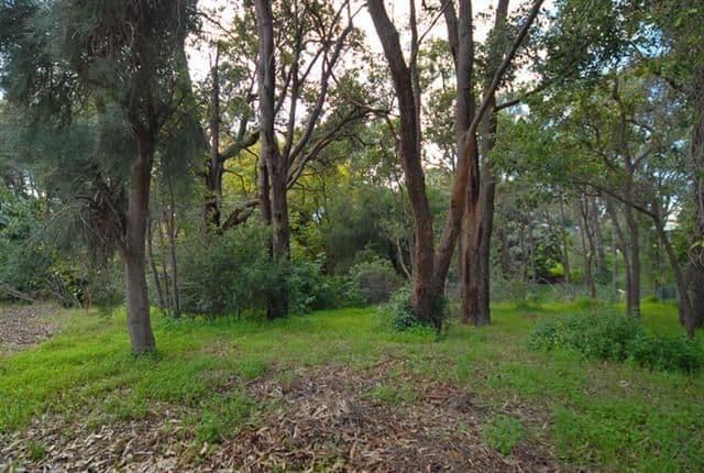 7 Lilian Road, MAIDA VALE WA 6057, Maida Vale - Thumbnail 5