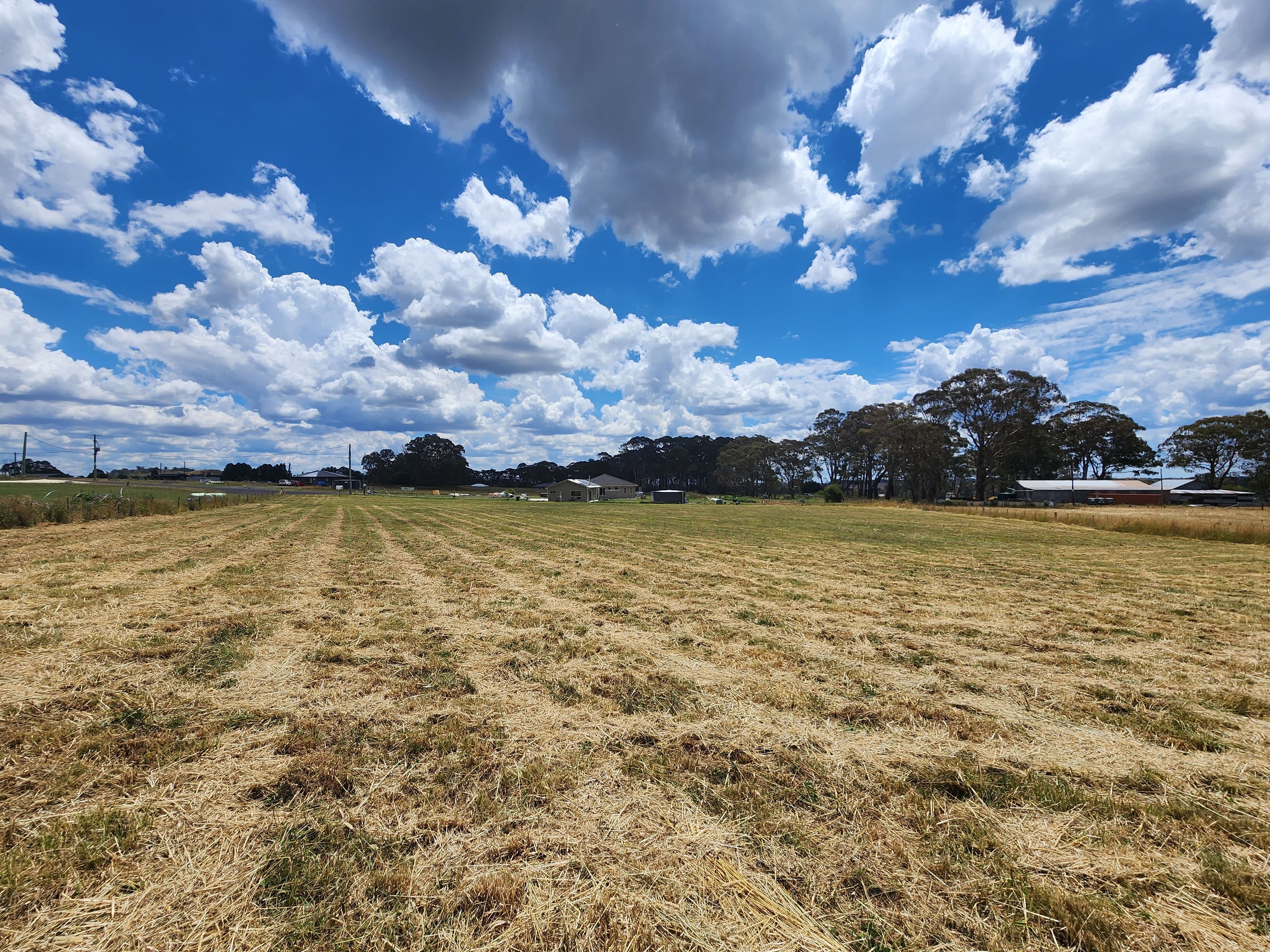 6 Elaine Close, Black Mountain NSW 2365, Black Mountain - Thumbnail 4