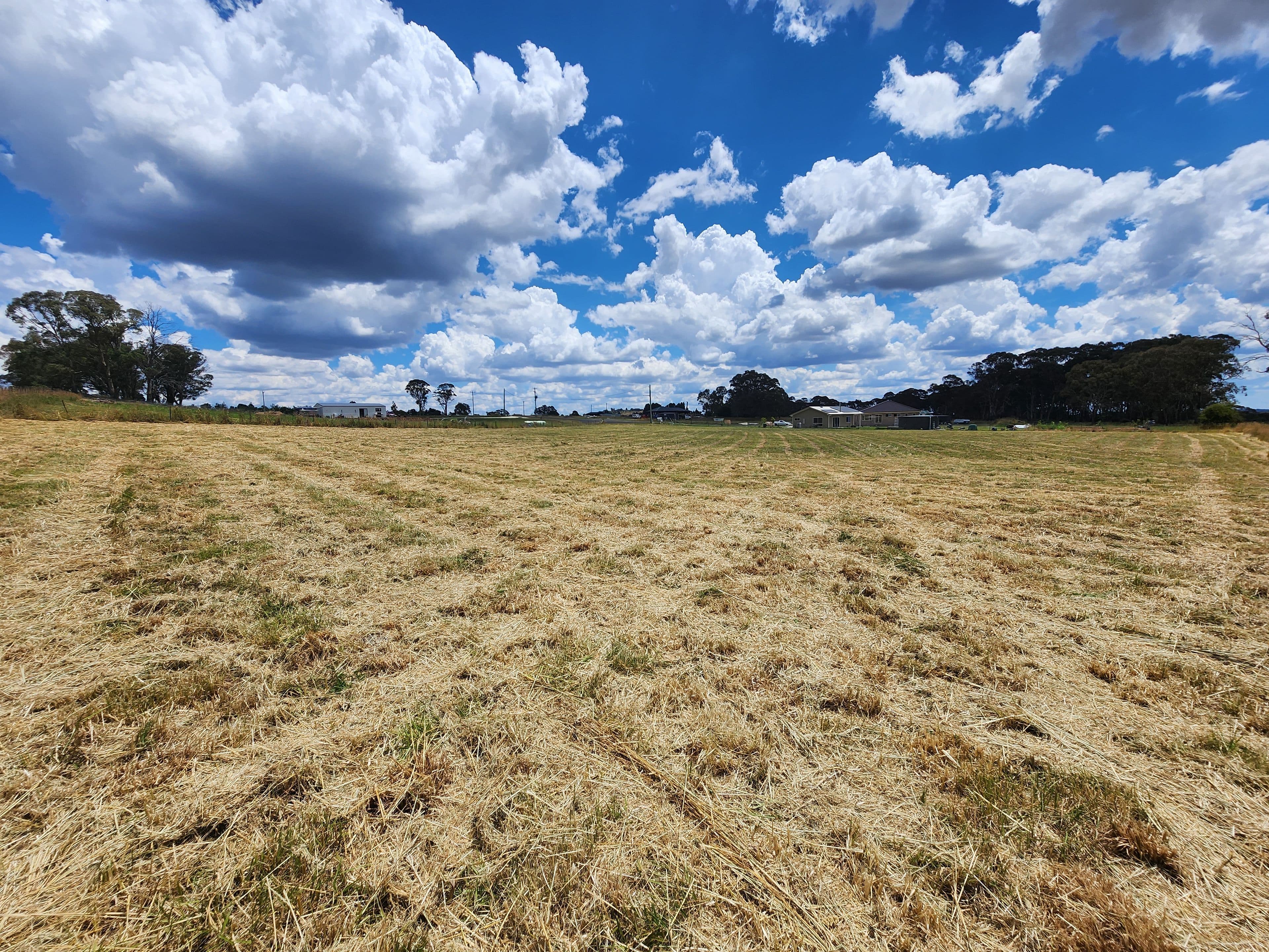 6 Elaine Close, Black Mountain NSW 2365, Black Mountain - Thumbnail 5