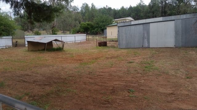 161 Marara Street, Eugowra - Thumbnail 4