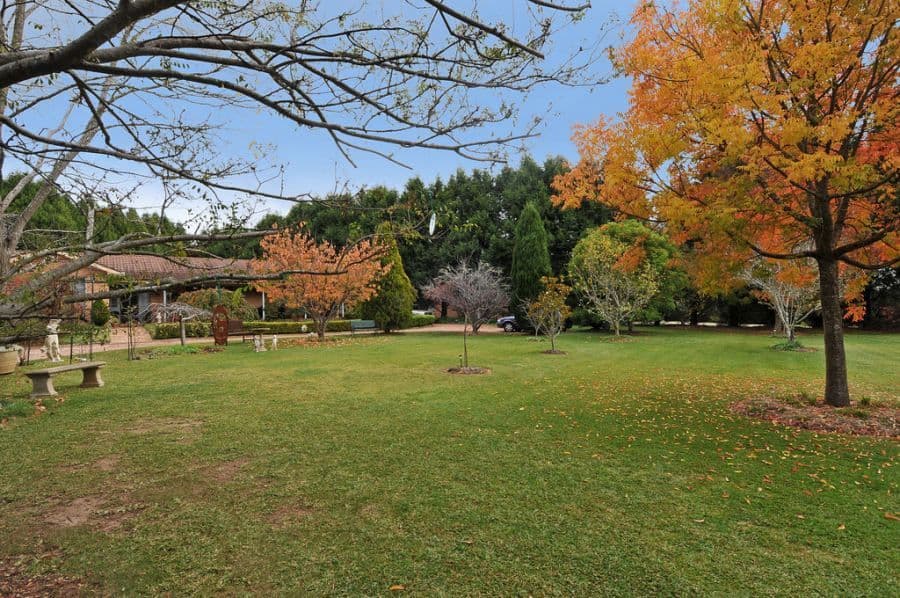 41 Mountain View Parade, Rosanna, Rosanna - Thumbnail 8