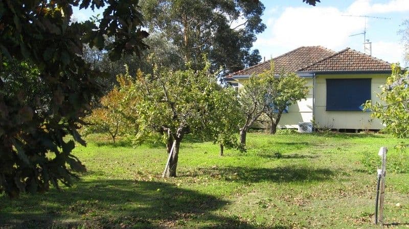 Lot 5 South West Highway, MANJIMUP WA 6258, Manjimup - Image 1