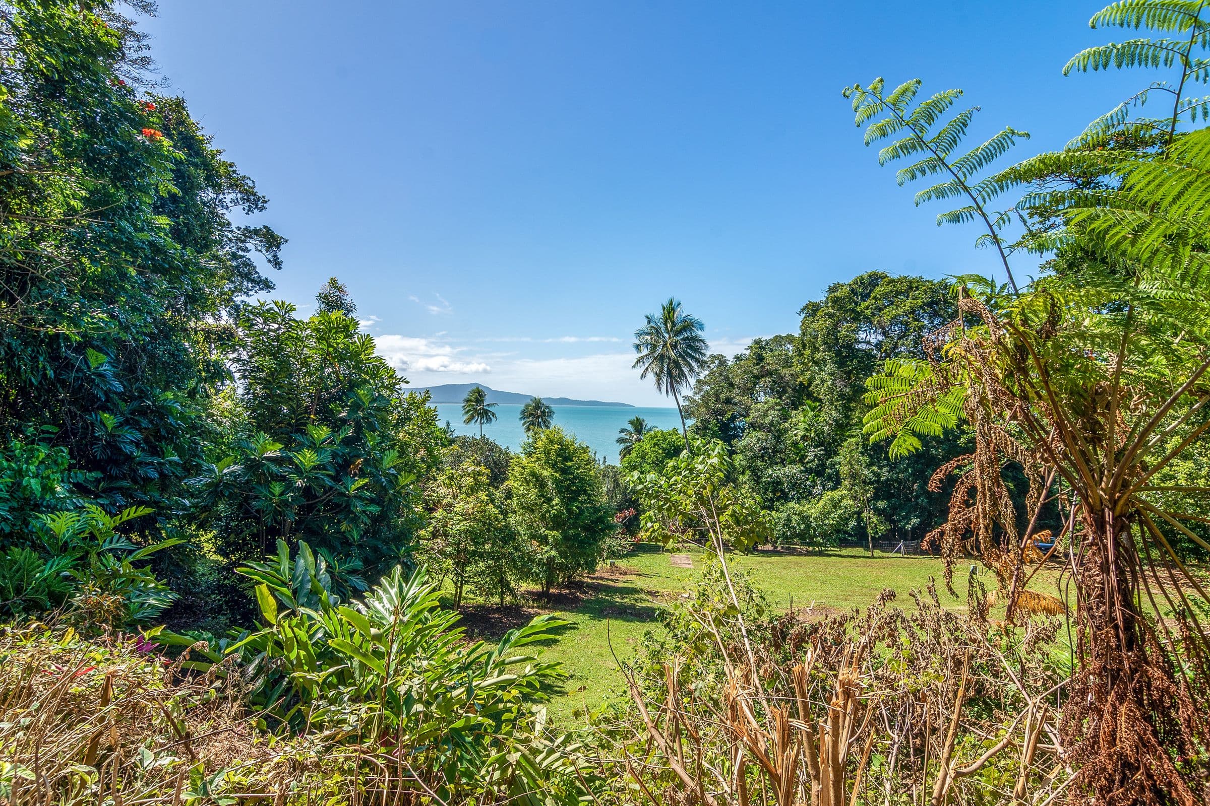 1299A-C Mossman Daintree Road, Rocky Point QLD 4873, Rocky Point - Thumbnail 4