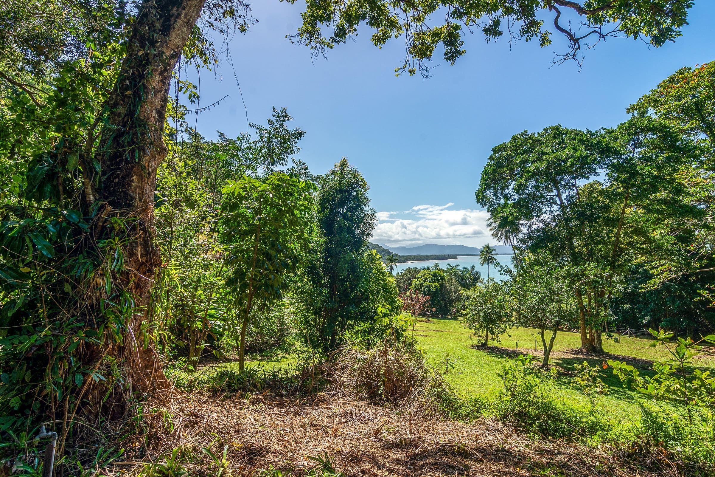 1299A-C Mossman Daintree Road, Rocky Point QLD 4873, Rocky Point - Thumbnail 8